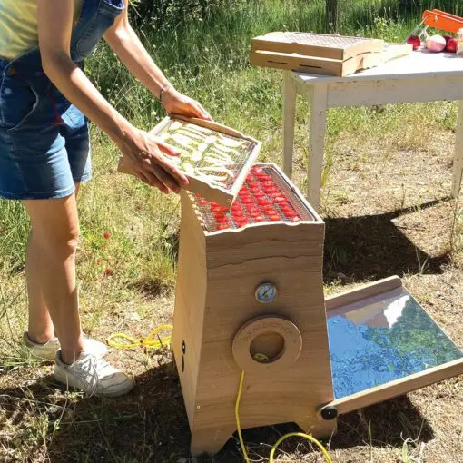 omy dryer - drying strawberries and lemons