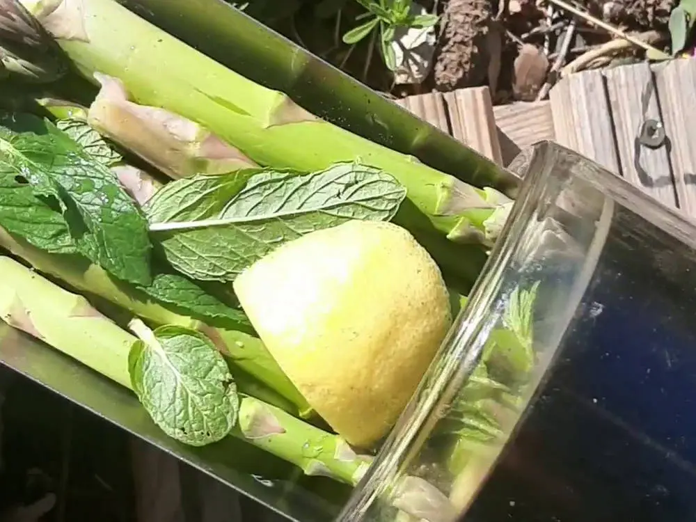 Recette Asperges à la menthe et au citron