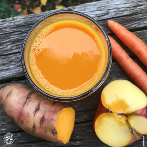 Du potager à l'assiette – Édition Automne